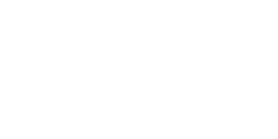 SAP Partner